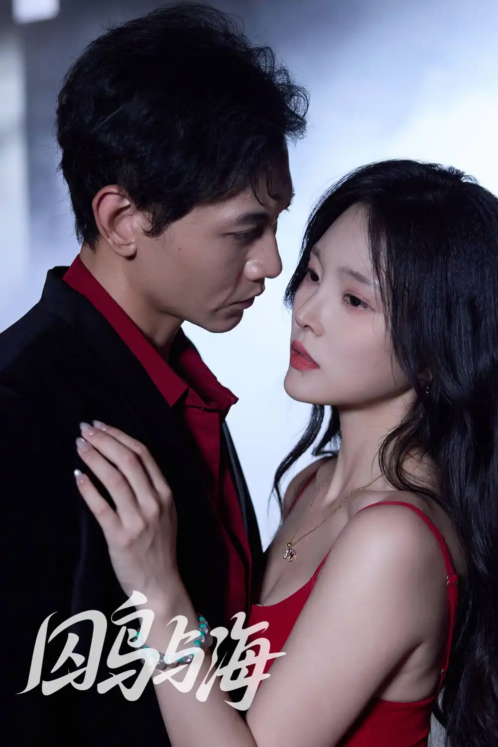 囚鸟与海（51集）苗雨峤＆徐菡琳海报