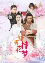 错有持花梦（36集）海报