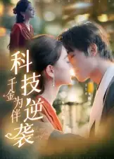 科技逆袭千金为伴（70集）辛宜洋海报