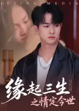 缘起三生之情定今世（69集）海报