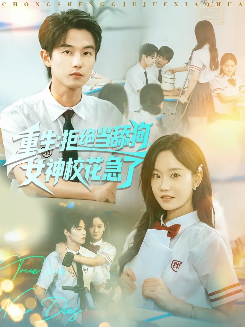 短剧《重生拒绝当舔狗女神校花急了》高清完整版全集免费在线观看