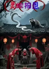 短剧《灵蛇报恩》高清完整版全集免费在线观看