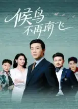 短剧《候鸟不再南飞》高清完整版全集免费在线观看