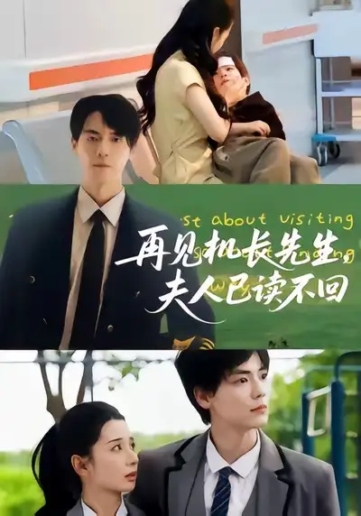 短剧《再见机长先生夫人已读不回》高清完整版全集免费在线观看