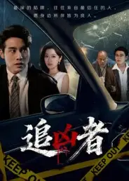 短剧《追凶者》高清完整版全集免费在线观看