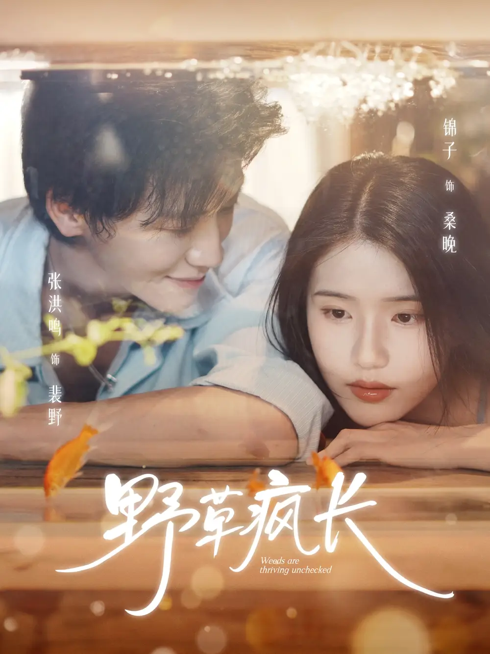 短剧《野草疯长》高清完整版全集免费在线观看