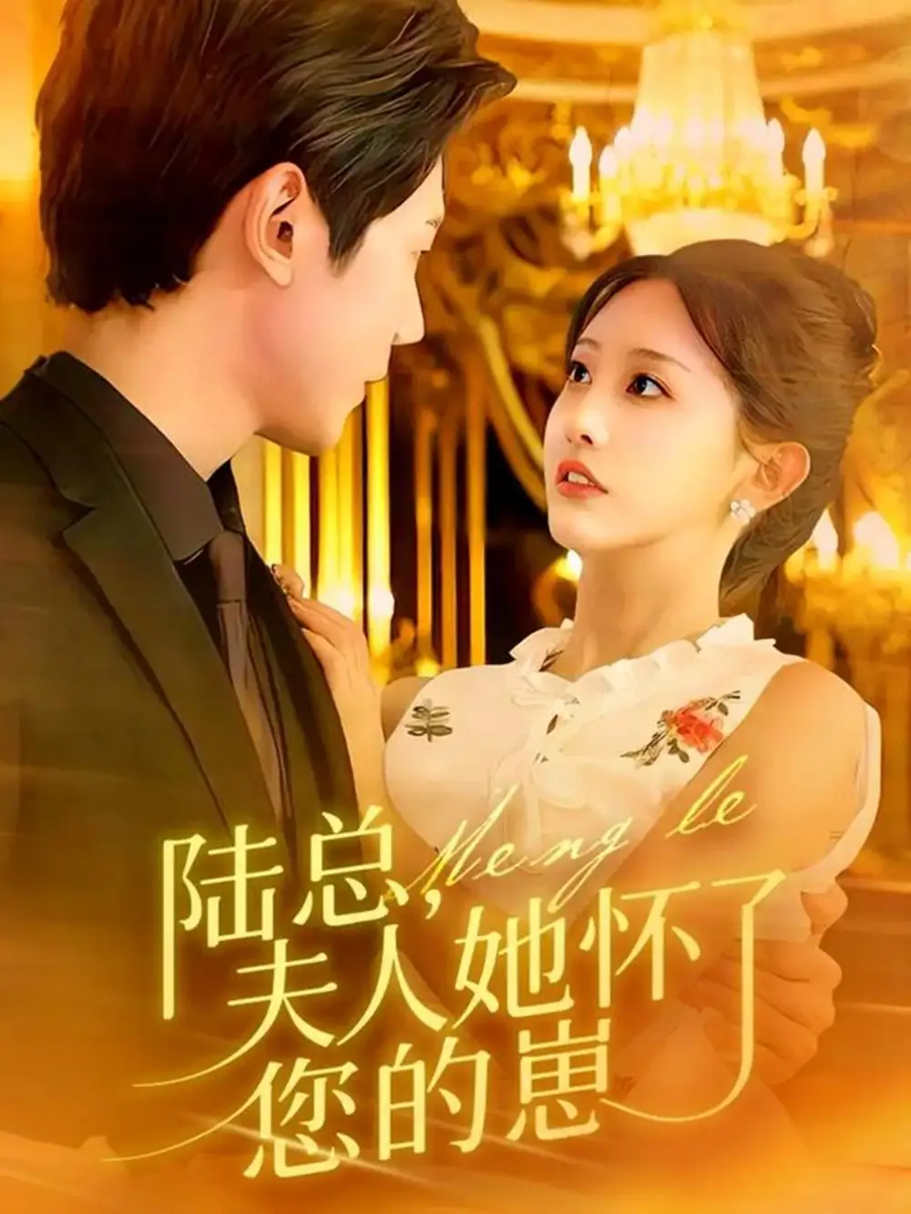 短剧《陆总，夫人她怀了您的崽》高清完整版全集免费在线观看