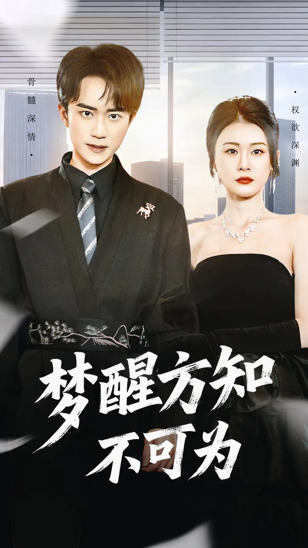 梦醒方知不可为(49集)李永臻&叶一宁高清海报图片 梦醒方知不可为(49集)李永臻&叶一宁海报