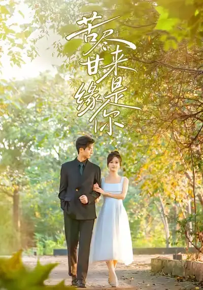 苦尽甘来缘是你（45集）刘晓宇＆杜昱泽海报