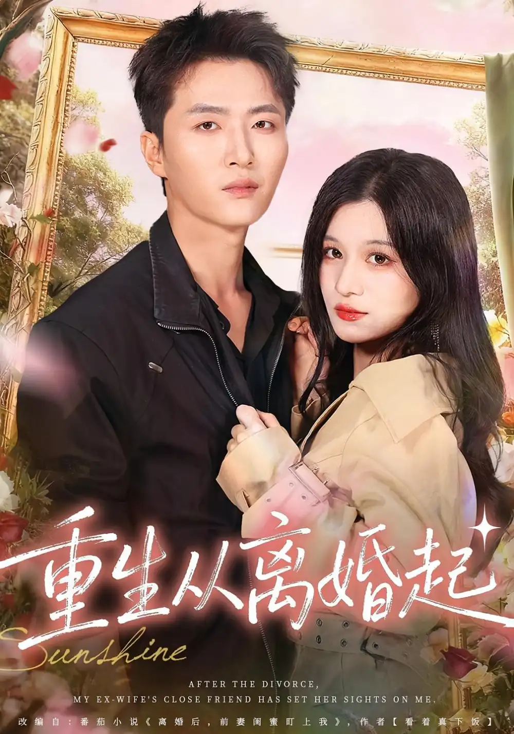 重生从离婚起（64集）王嘉皓&李佳慧海报